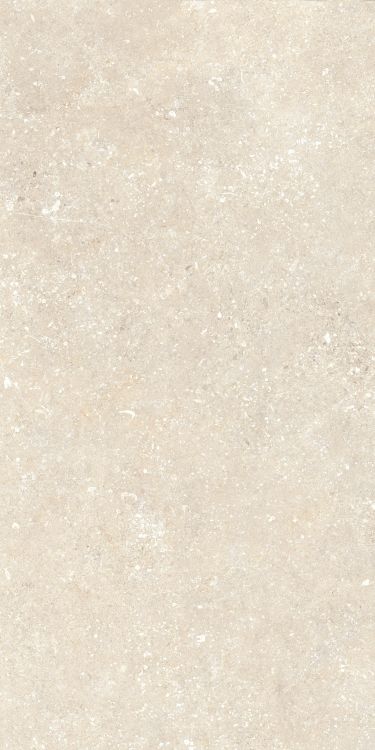 Untamed Wander Warm 12 x 24